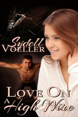 Cover of the book Love On A High Wire by Sydell I. Voeller