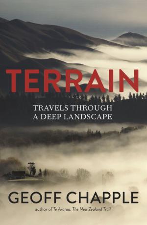 Cover of the book Terrain by Chris Else