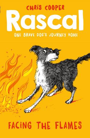 Book cover of Rascal: Facing the Flames