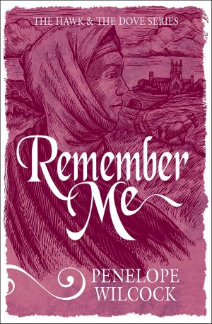 bigCover of the book Remember Me by 