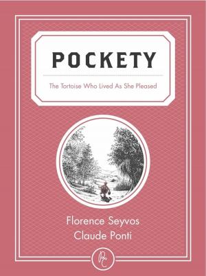 Cover of the book Pockety by Roger Mello