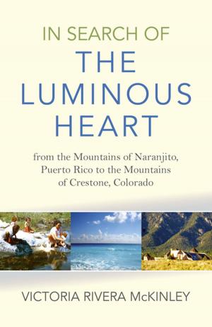 Cover of the book In Search of the Luminous Heart by Jane Wharam
