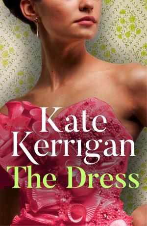Cover of the book The Dress by Amanda Prowse