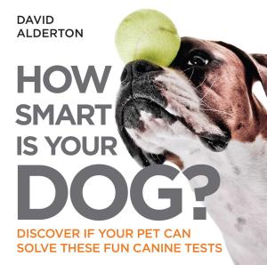 Cover of the book How Smart Is Your Dog? by Peter May