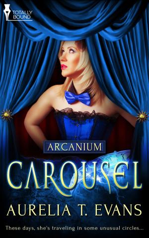 Cover of the book Carousel by Ashley Ladd