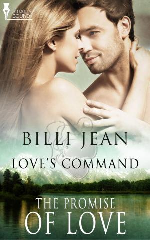 Cover of the book The Promise of Love by Nan Comargue