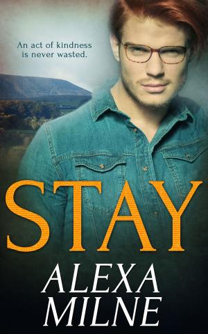 Cover of the book Stay by Caitlyn Willows