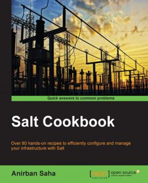 Cover of the book Salt Cookbook by Indermohan Singh