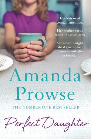 Book cover of Perfect Daughter