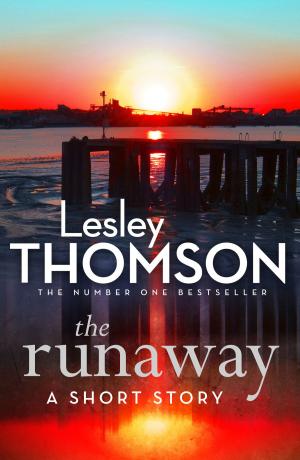 Cover of the book The Runaway by Julie Houston