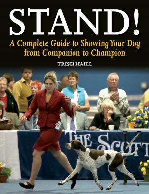 Cover of the book Stand! by Mindy J Kaleta
