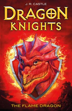 Cover of the book The Flame Dragon by Kate Willis-Crowley