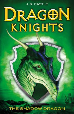 Cover of the book The Shadow Dragon by Fleur Hitchcock