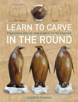 Cover of the book Learn to Carve in the Round by Sam Jost