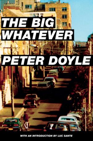 Cover of the book The Big Whatever by Robert Dean Lurie