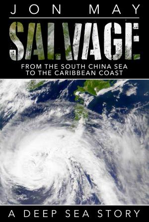 Cover of the book Salvage (From the South China Sea to the Caribbean Coast: A Deep Sea Story) by Jan Hart