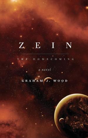 bigCover of the book Zein: The Homecoming by 