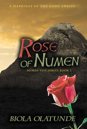 Cover of the book Rose of Numen by Paula Boer