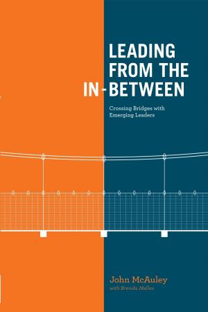 Cover of the book Leading from the In-Between by David Sherbino, PhD
