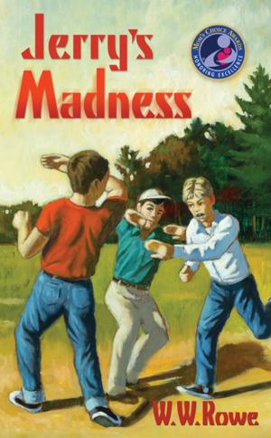 bigCover of the book Jerry's Madness by 