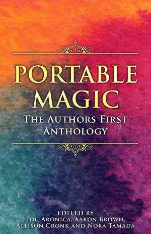 Cover of the book Portable Magic by David Brin