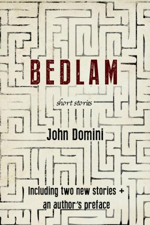 Cover of the book Bedlam and Other Stories by Zoe Zolbrod