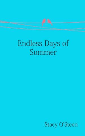 Cover of the book Endless Days of Summer by A. M. Leibowitz