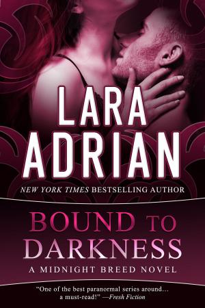 Book cover of Bound to Darkness