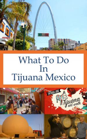 Cover of the book What To Do In Tijuana Mexico by Nader Freij