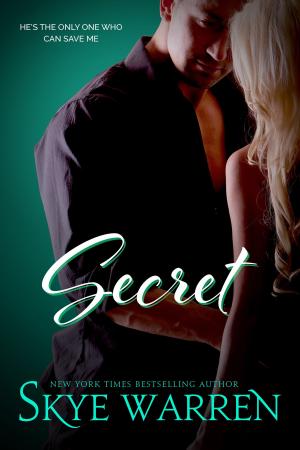 Cover of the book SECRET by Skye Warren