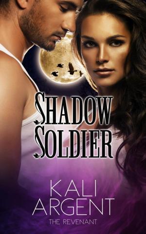 bigCover of the book Shadow Soldier by 