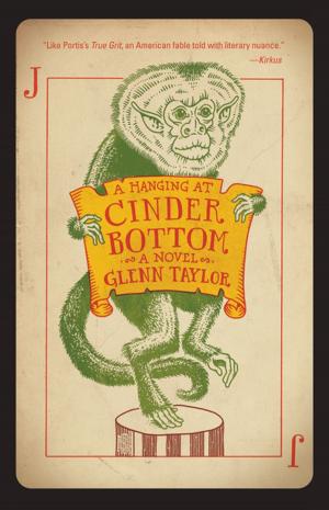 Cover of the book A Hanging at Cinder Bottom: A Novel by James D. Balestrieri