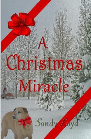 Cover of the book A Christmas Miracle by Lindsay Paige