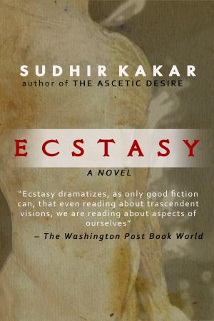 Cover of the book Ecstasy by John Vernon