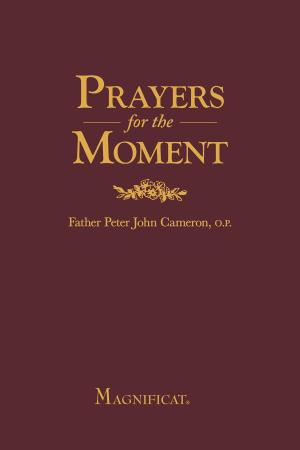Cover of the book Prayers for the Moment by Fr. Peter Cameron, O.P.