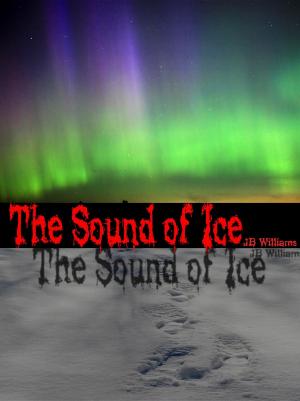 Cover of the book The Sound of Ice by Martin Adil-Smith