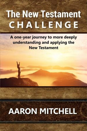 Book cover of The New Testament Challenge