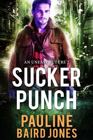 Cover of the book Sucker Punch by Pauline Baird Jones