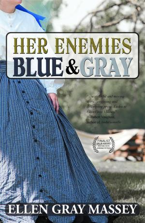 Cover of the book Her Enemies Blue & Gray by Billie Holladay Skelley