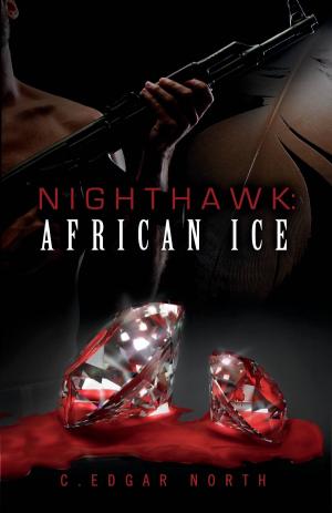 Cover of the book Nighthawk: African Ice by Ned Rosen