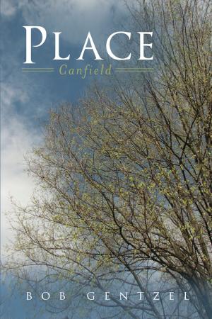 Book cover of Place