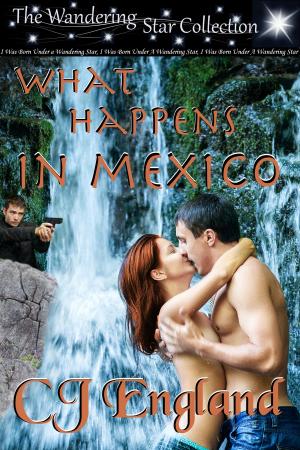 Cover of the book What Happens In Mexico by Lauren Hawkeye