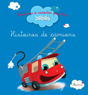 Cover of the book Histoires de camions by Eléonore Cannone, Nathalie Somers, Katherine Quenot, Emmanuelle Lepetit, Juliette Saumande