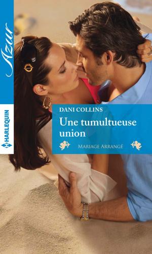 Cover of the book Une tumultueuse union by Rita Herron
