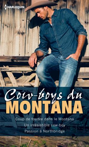 Book cover of Cow-boys du Montana