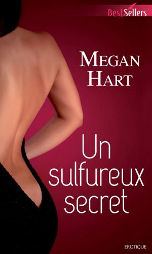 Book cover of Un sulfureux secret