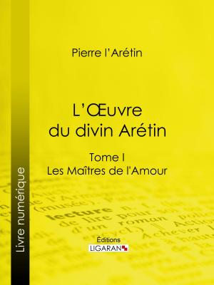 Cover of the book L'Oeuvre du divin Arétin by Emile Souvestre, Ligaran