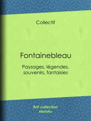 Cover of the book Fontainebleau by F. Delahaye