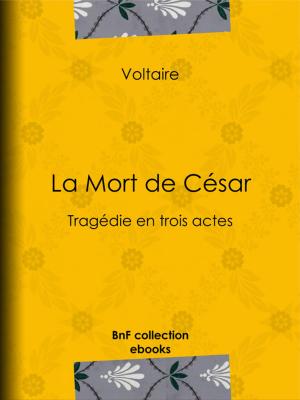 Cover of the book La Mort de César by Jules Lermina