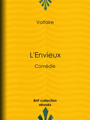 Book cover of L'Envieux